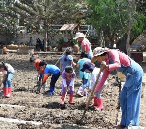 Aprende Labores del Campo